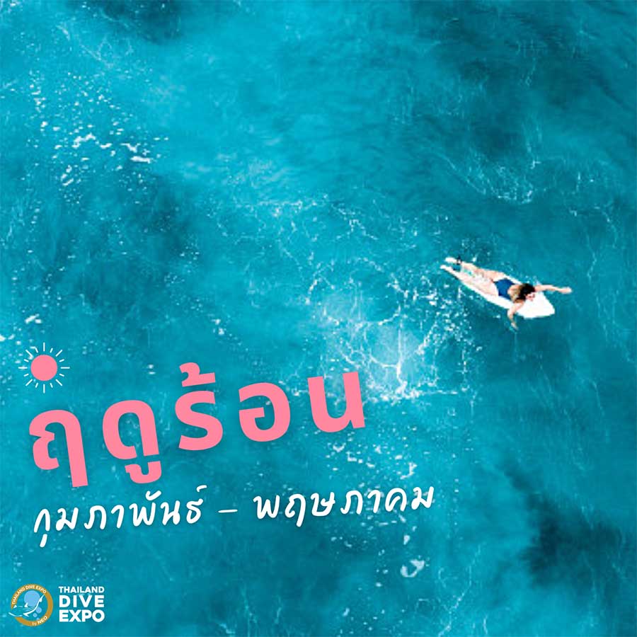 Thailand Dive Expo (TDEX)