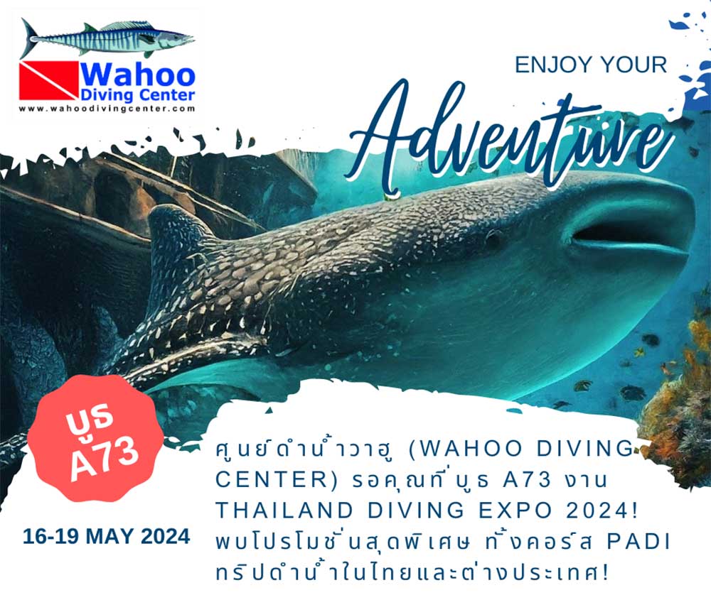 Thailand Dive Expo (TDEX)