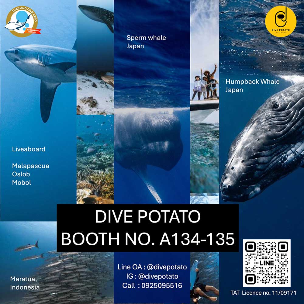 Thailand Dive Expo (TDEX)