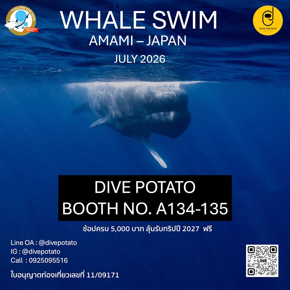 Thailand Dive Expo (TDEX)