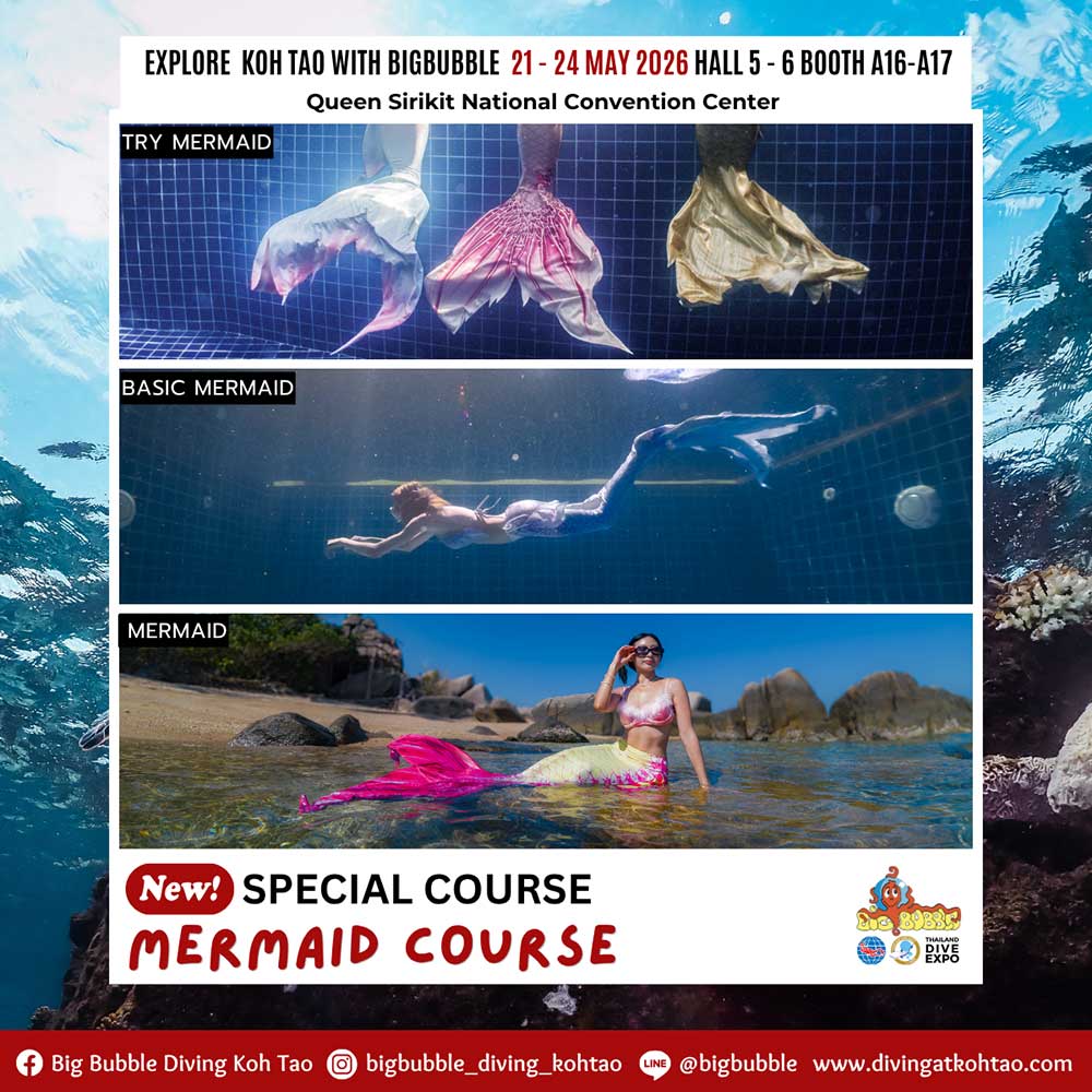 Thailand Dive Expo (TDEX)