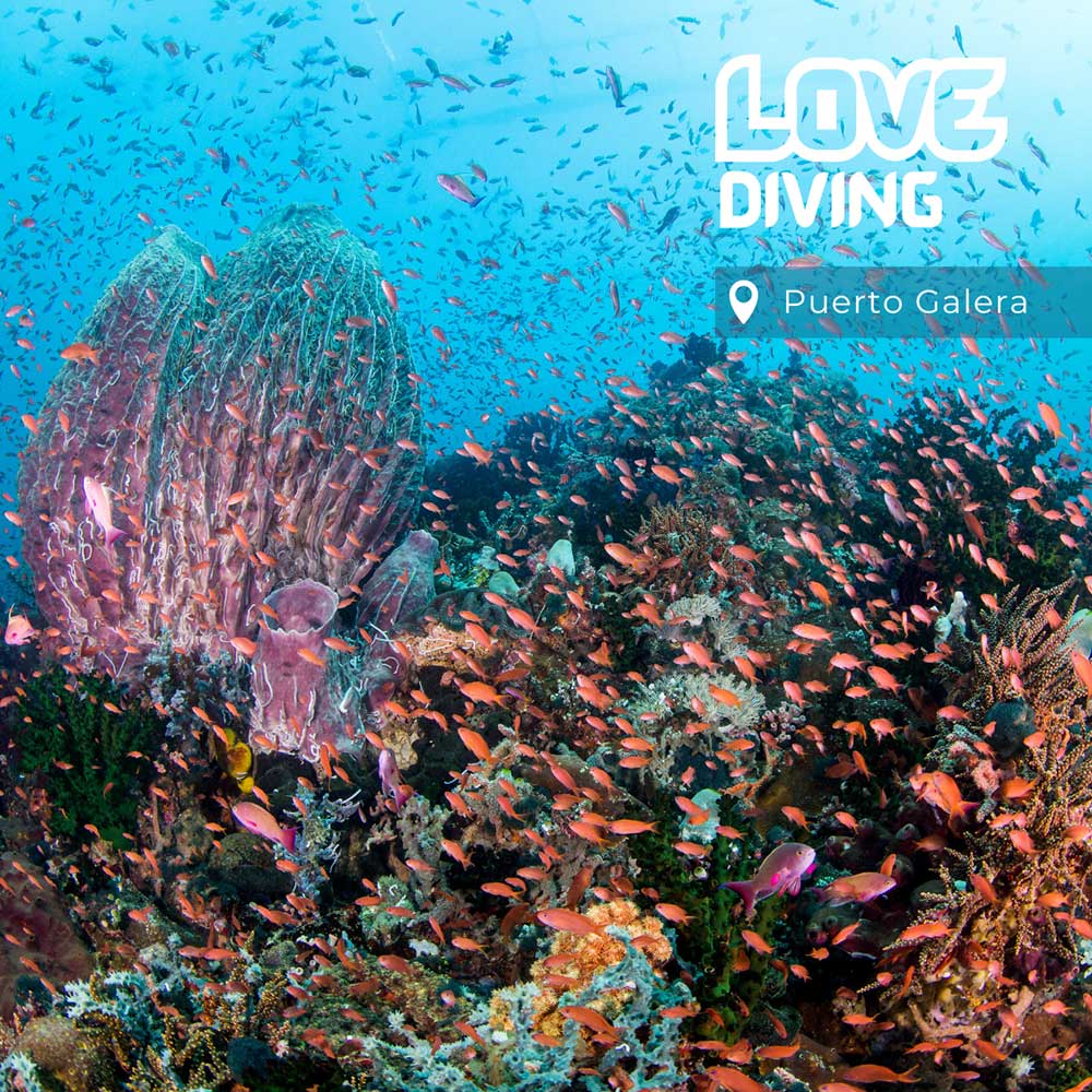 Thailand Dive Expo (TDEX)