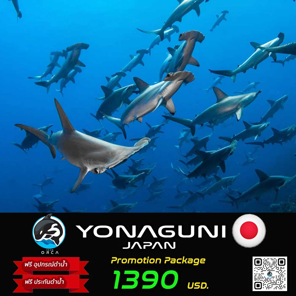 Thailand Dive Expo (TDEX)