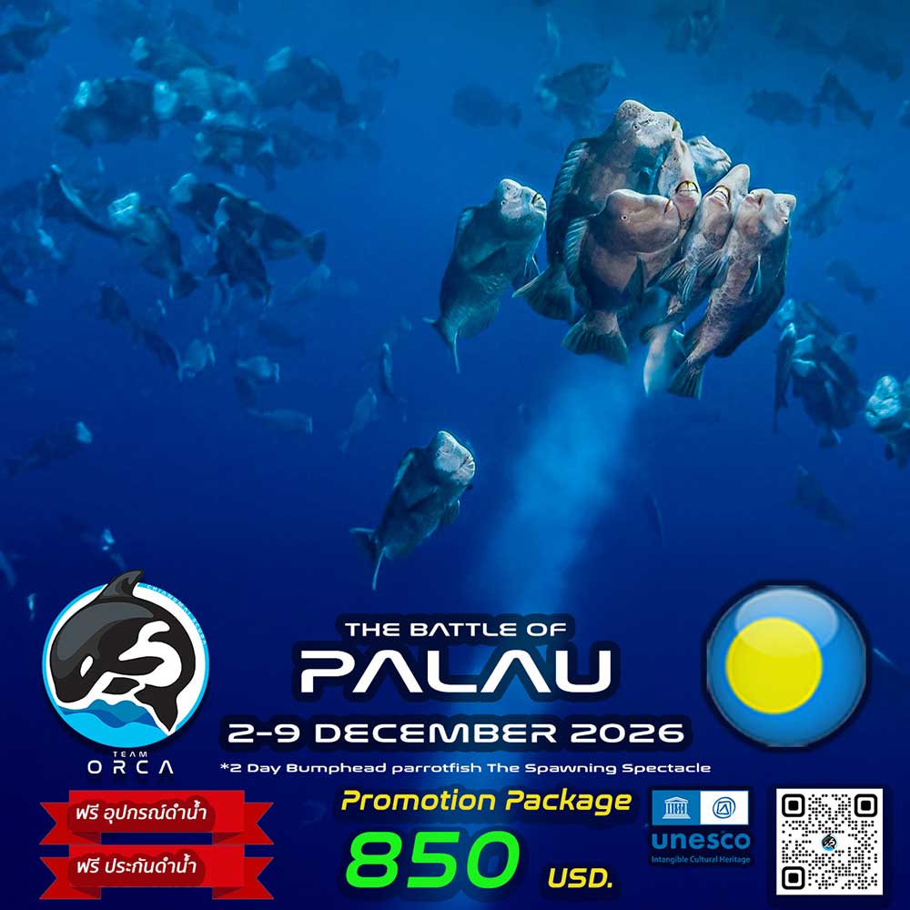 Thailand Dive Expo (TDEX)