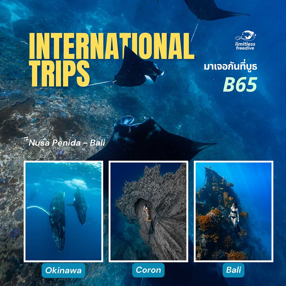 Thailand Dive Expo (TDEX)